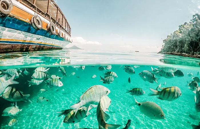 Praia paradisíaca no Rio de Janeiro